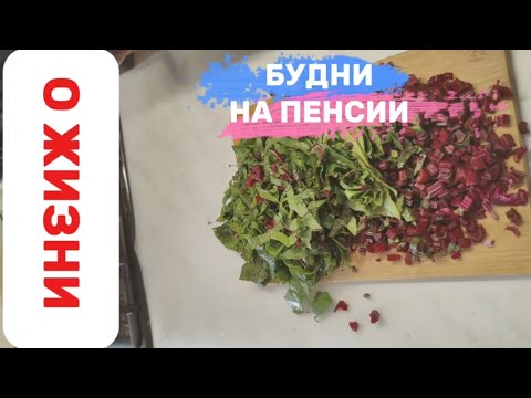 Видео: ЧЕМ ЗАНИМАЮТСЯ И ЧТО ЕДЯТ ПЕНСИОНЕРЫ ЛЕТОМ.