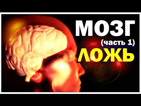 Видео: Галилео. Мозг (часть 1): Ложь