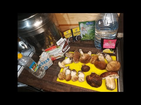 Видео: Белый гриб в автоклаве