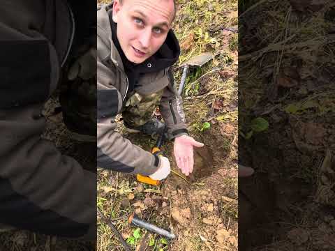 Видео: Спонтанный тест , эквинокс 900 с катушкой 12/15 видит копейку на 40см