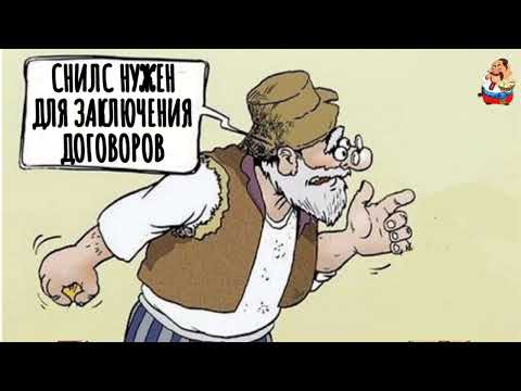 Видео: СНИЛС НУЖЕН ДЛЯ ЗАКЛЮЧЕНИЯ ДОГОВОРОВ (1:01)