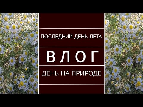 Видео: ВЛОГ: ПОСЛЕДНИЙ ДЕНЬ ЛЕТА. ОСЕННЕЕ УТРО. ПОКУПКИ.