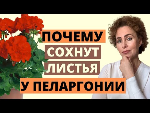 Видео: ПЕЛАРГОНИЯ: желтеют и сохнут листья