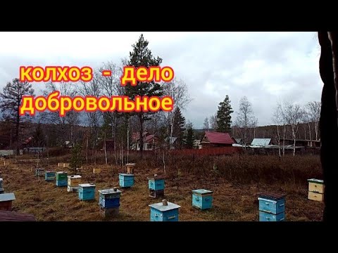 Видео: Колхоз - дело  добровольное 