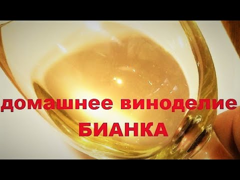 Видео: Домашнее виноделие: Бианка