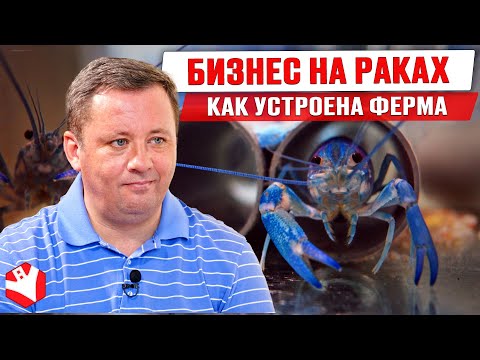 Видео: Бизнес идеи: разведение раков | Австралийский рак | Устройство фермы