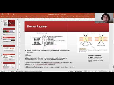 Видео: Потенциал действия. Физиология возбудимых тканей