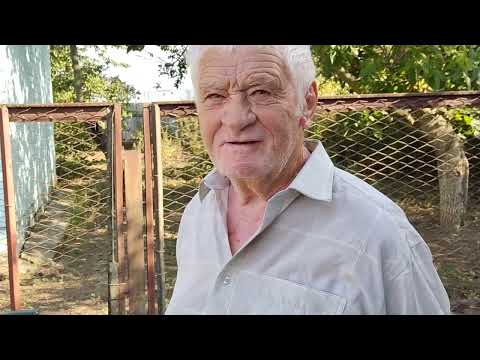 Видео: ДЕКОРАТИВНЫЕ ГОЛУБИ: У Хлипитько.Н.Н. ( приобретение новых голубей).