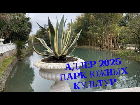 Видео: АДЛЕР 2025. ПАРК ЮЖНЫХ КУЛЬТУР