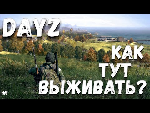 Видео: ВЫЖИВАНИЕ НОВИЧКА В DAYZ #1