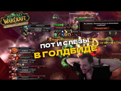 Видео: ГОЛДБИД СС 25 ГЕР | MOP CLASSIC