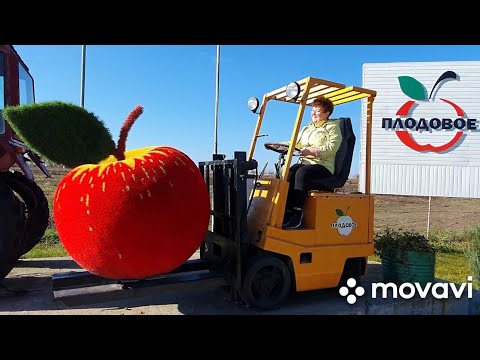 Видео: #Ейск🌻Едем за зарплатой.  Сколько же мы заработали на сборе яблок ?   Магазин по продаже яблочек 🍎🍏