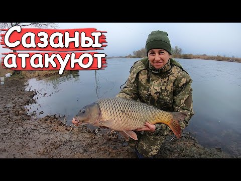 Видео: Рыбалка в ноябре с ночёвкой. Такого клёва мы не ожидали