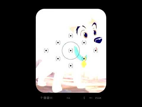 Видео: История Шалуна.