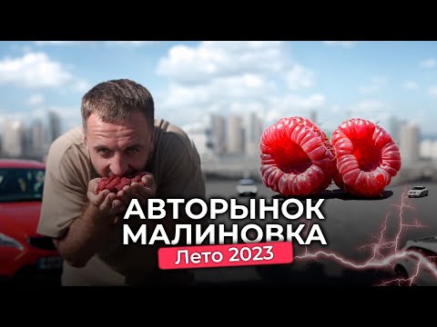 Видео: Авторынок Малиновка. Нас обманули! "Перекупы смотали пробег"