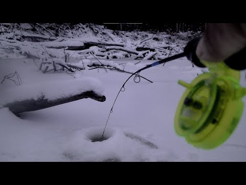 Видео: СЛАБОНЕРВНЫМ РЫБАКАМ ЛУЧШЕ НЕ СМОТРЕТЬ! !!ТОТ СЛУЧАЙ КОГДА НАШЕЛ ТУ САМУЮ ЛУНКУ МЕЧТЫ!!