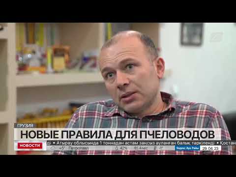 Видео: Пчеловоды Грузии столкнулись с проблемами экспорта меда