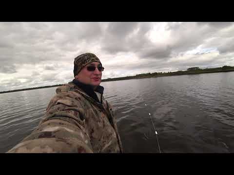 Видео: РЫБАЛКА СЕТЯМИ НА СЕВЕРЕ / ВЫЛОВ СИГА / FISHING WITH NETS /  Salmon fishing