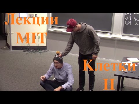 Видео: #11. Клетки 2. Открытые лекции MIT. Озвучка СТАХАНОВ2000.