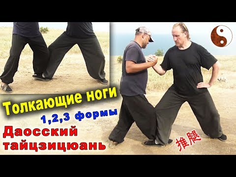 Видео: Толкающие ноги (туйтуй 推腿). Формы 1, 2, 3. Тайцзи Ветер-Гром