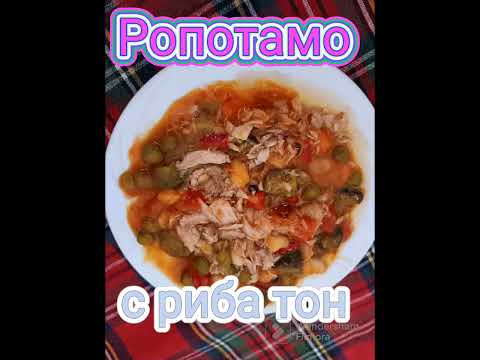 Видео: РОПОТАМО С РИБА ТОН