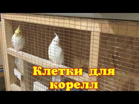 Видео: Клетки для корелл.