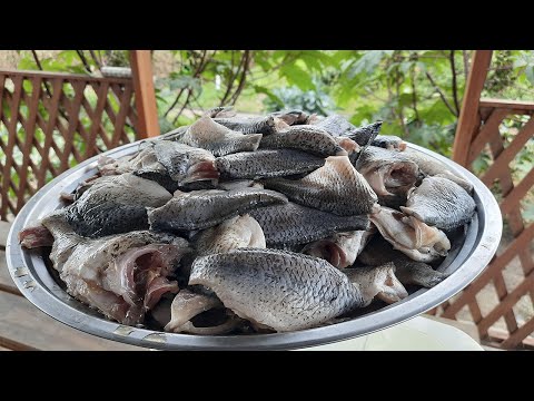 Видео: НЕ ВЫКИДЫВАЙТЕ МЕЛКУЮ РЫБУ.ПРИГОТОВЬТЕ ЭТО БЛЮДО