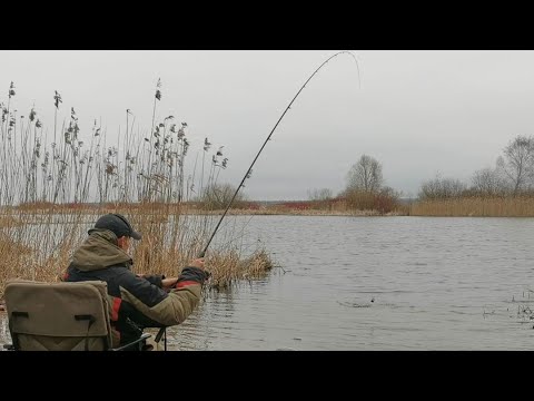 Видео: РЫБАЛКА НА ФИДЕР 19 МАРТА. УКРЫЛСЯ ЗА КАМЫШ ВЕСЕННИЙ ФИДЕР