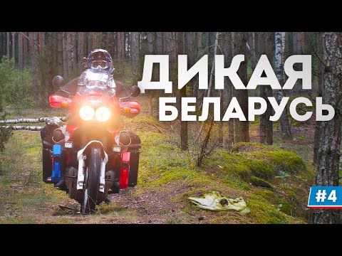 Видео: Мотопутешествие вокруг Беларуси 3500км: Дикая природа #4