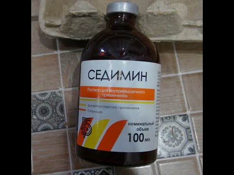 Видео: Сидемин для ягнят и овец. Лечим новорожденных ягнят.