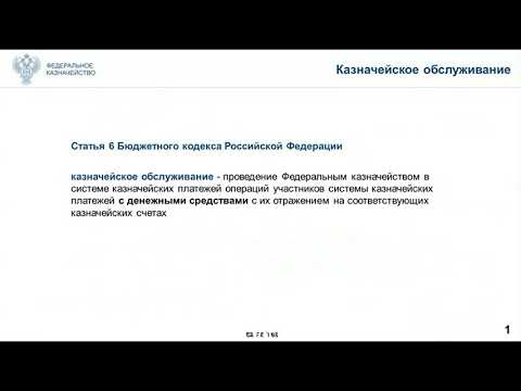 Видео: Казначейское обслуживание и система казначейских платежей