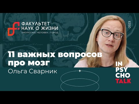 Видео: 11 важных вопросов про мозг / Ольга Сварник / МИП х Науки о жизни