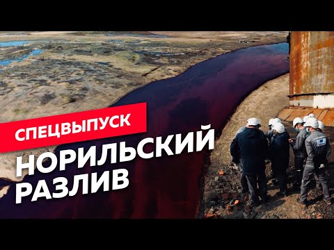 Видео: Кто виноват в экологической катастрофе в Заполярье? / Редакция
