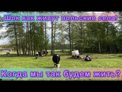 Видео: Просто Шок как живут польские села.Когда мы так будем жить!