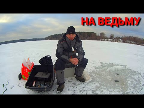 Видео: ЭТО БЫЛА "РЫБА ДНЯ". "ВЕДЬМА" на ОЗЕРНЕ. Рыбалка в начале февраля.