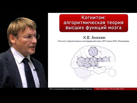 Видео: Когнитом: алгоритмическая теория высших функций мозга.  Константин Анохин