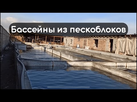 Видео: Бассейны из пескоблока.