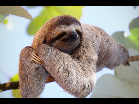 Видео: Проработка планет в гороскопе рождения