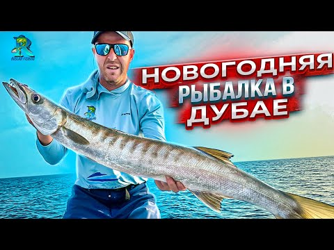Видео: Как ? Где ? на Что ? Ловить Барракуду в Дубае