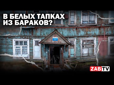 Видео: Бараки. Возбуждено уголовное дело о халатности