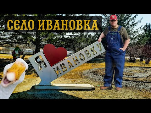 Видео: село Ивановка Амурская область | Лебеди | Дальний Восток #туризм #путешествия