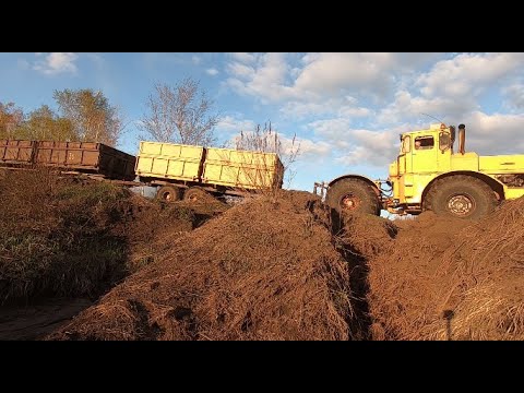 Видео: Трактор Кировец.  С телегами за ячменём.