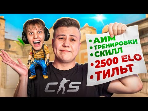 Видео: Чему BREEL НАУЧИЛСЯ на 10 LVL ЗА ПОЛГОДА (CS2)