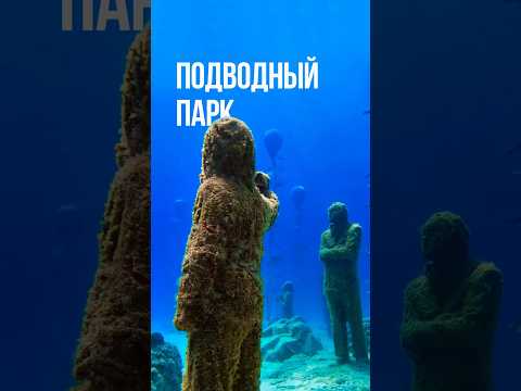 Видео: Первый подводный музей в средиземном море 🌊 #мусан #кипр #дайвинг