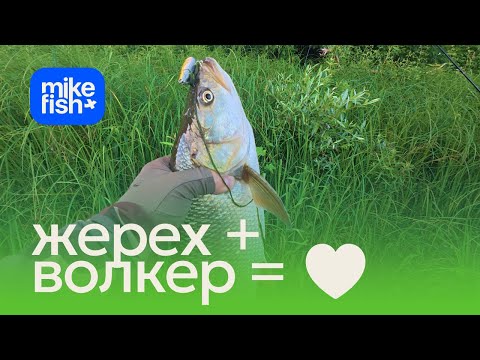 Видео: Жерех + волкеры = зрелищные поклевки. Работа Tenryu Rayz на вываживании.