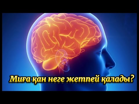 Видео: Миға қан неге жетпей қалады..