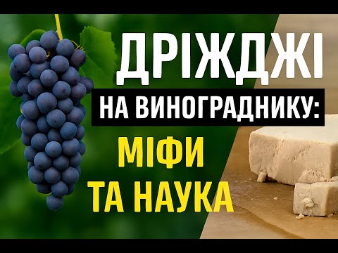 Видео: Під корінь або по листку: дослідження Garmian Університету