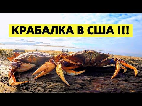 Видео: ПРАЗДНИК ЖИВОТА - СВЕЖЕПОЙМАННЫЕ КРАБЫ! КРАБАЛКА НА ТИХОМ ОКЕАНЕ США. РЕЦЕПТ ПРИГОТОВЛЕНИЯ КРАБОВ.