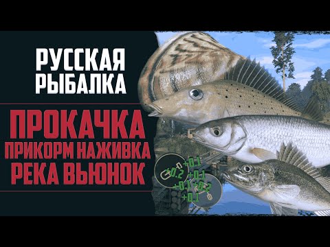 Видео: Новый Путь в РР4 #3 🔴 Прокачал Прикорм и Наживку | Готовлюсь на Острог | Река Вьюнок