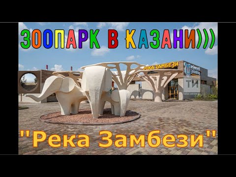 Видео: Зоопарк "Река Замбези" в Казани